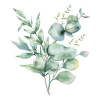 eucalipto mazzo acquerello, floreale mazzo, verdura disposizione, floreale disposizione, verde le foglie composizione vettore