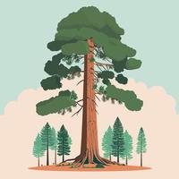 adulto gigante sequoia albero vettore