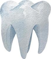 acquerello umano bianca salutare molare dente. umano corpo parti isolato su bianca sfondo. medico illustrazione vettore