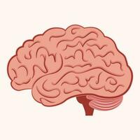 umano cervello scientifico vettore illustrazione design