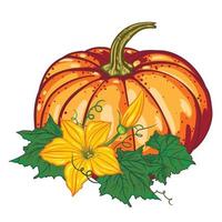 arancia zucca con verde le foglie e giallo fiori isolato su bianca sfondo. autunno composizione vettore