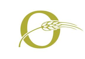 lettera o agricoltura logo azienda agricola vettore