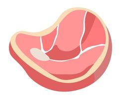 Maiale carne, bistecca fetta per grigliate e cucinando vettore