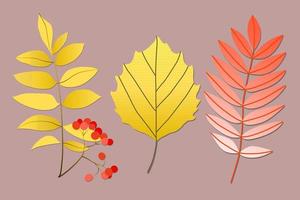 varietà di colorate foglie autunnali alla moda. illustrazioni vettoriali per web, app e stampa. foglie di gradiente isolate floristiche di forme eleganti. set floreale foresta, botanico, minimalista.