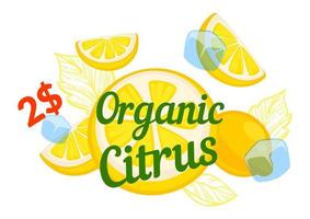 biologico agrume bevanda, limonata promo bandiera vettore
