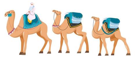 sceicco equitazione cammello, deserto in viaggio, vettore