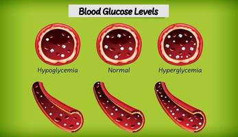 livello di glucosio nel sangue medico vettore