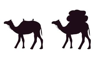 impostato di Due cammelli silhouette isolato su bianca sfondo. vettore illustrazione.
