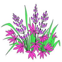 un' piccolo letto di fiori nel scarabocchio stile con colore. mano disegnare botanico illustrazione. vettore