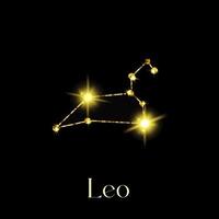 oroscopo Leo costellazioni di il zodiaco cartello a partire dal un' d'oro struttura su un' nero sfondo vettore