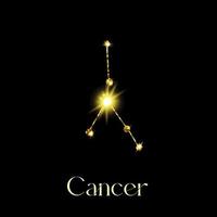 oroscopo cancro costellazioni di il zodiaco cartello a partire dal un' d'oro struttura su un' nero sfondo vettore