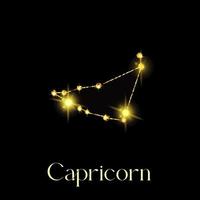 oroscopo Capricorno costellazioni di il zodiaco cartello a partire dal un' d'oro struttura su un' nero sfondo vettore