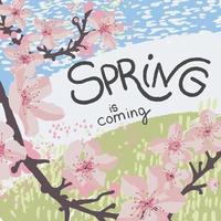 primavera è In arrivo, sakura albero nel fiorire nel marzo vettore