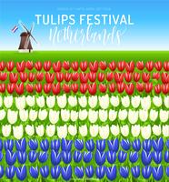 Paesi Bassi Tulip Festival Vector Poster