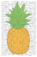 Illustrazione disegnata a mano di ananas di vettore