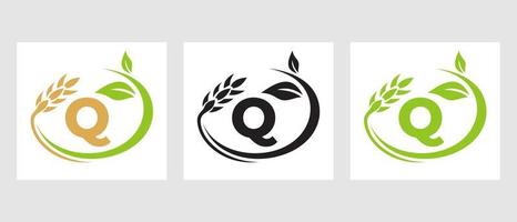 lettera q agricoltura logo. agroalimentare, eco-fattoria design modello vettore