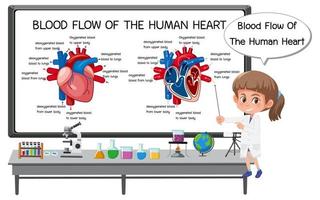 flusso sanguigno del diagramma del cuore umano vettore