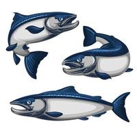 set di pesce salmone blu vettore