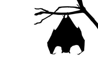 addormentato pipistrello su il ramo albero silhouette per Halloween manifesto, arte illustrazione, orrore film o film manifesto di per grafico design elemento. vettore illustrazione