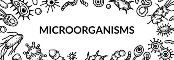 microbiologia striscione. collezione di diverso tipi di microrganismi. scientifico vettore illustrazione nel schizzo stile