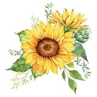 acquerello girasoli mazzo, mano dipinto girasole mazzi di fiori con verde, girasole fiore disposizione. nozze invito clipart elementi. acquerello floreale. botanico disegno. bianca sfondo. vettore