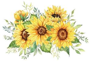 acquerello girasoli mazzo, mano dipinto girasole mazzi di fiori con verde, girasole fiore disposizione. nozze invito clipart elementi. acquerello floreale. botanico disegno. bianca sfondo. vettore