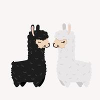 coppia carina alpaca innamorata vettore