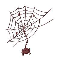 Halloween, carino ragno sospeso di ragnatela nel bianca sfondo vettore