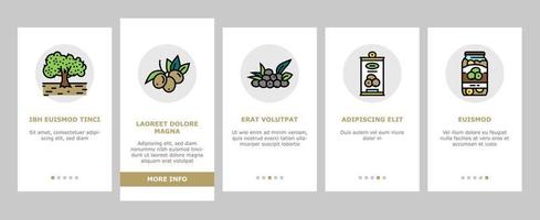 oliva produzione e raccolta onboarding icone impostato vettore