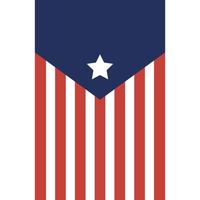 banner USA con linee e disegno vettoriale stella