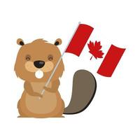 castoro canadese con bandiera per il disegno vettoriale felice giorno del canada