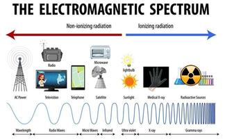 diagramma dello spettro elettromagnetico della scienza vettore