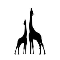 vettore silhouette di un' giraffa. giraffa vettore. giraffa vettore silhouette. giraffe silhouette.