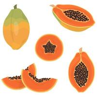 papaya intera e affettata. vettore