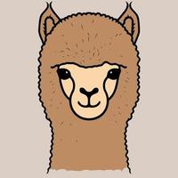 camelide animale testa chiamato alpaca vettore