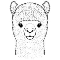 camelide animale testa chiamato alpaca vettore