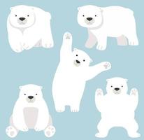 simpatico orso polare divertente cartone animato insieme vettoriale