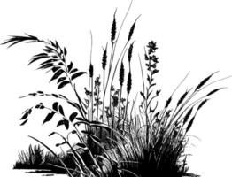 Immagine di un' silhouette canna o giunco di palude su un' bianca background.monochrome Immagine di un' pianta su il riva vicino un' stagno.isolato vettore disegno.
