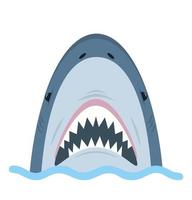 squalo bianco bocca aperta in acqua vettore