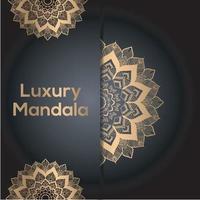 lusso sfondo ornamentale mandala design vettore