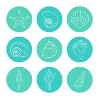 conchiglie e stella marina etichetta impostare, mano disegnato acquatico marino vita illustrazione vettore