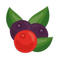 ciliegie frutta fresca icona di cibo sano vettore