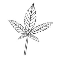 semplicità foglia di cannabis disegno a mano libera design piatto. vettore