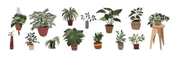 set di elementi decorativi per piante in vaso per interni adesivo pollice verde per bullet journal vettore