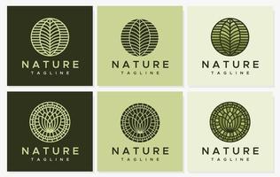 linea foglia logo design impostare. moderno natura linea logo vettore modello.