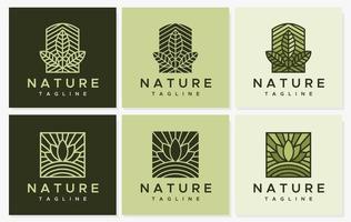 minimalista linea foglia logo design modello impostare. natura foglia logo grafico impostare. vettore