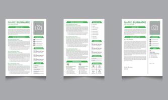 professionale curriculum vitae e copertina lettera disposizione con minimalista curriculum vitae CV modello per attività commerciale lavoro applicazioni vettore