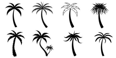 collezione di nero Noce di cocco alberi icona. può essere Usato per illustrare qualunque natura o salutare stile di vita argomento. vettore
