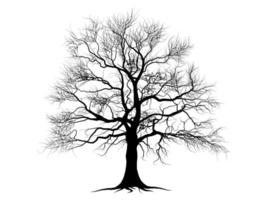 set di sagome di albero di ramo nero o alberi nudi. illustrazioni isolate disegnate a mano. vettore