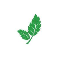 logo foglia verde vettore